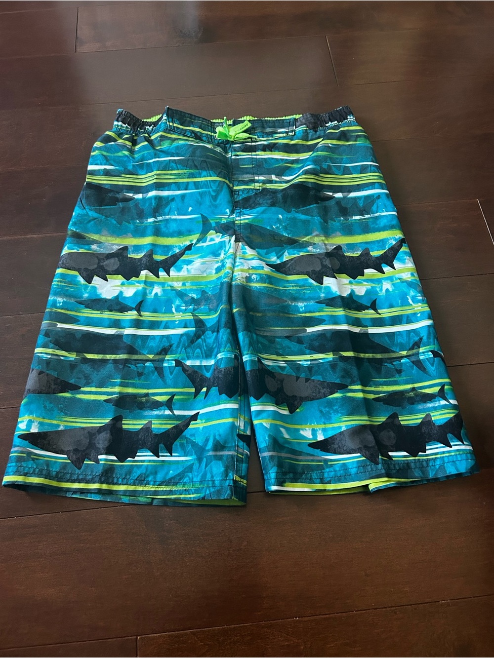 ZeroXposur Boys Teal, Blue & Green Shark Stripe Swim Trunks